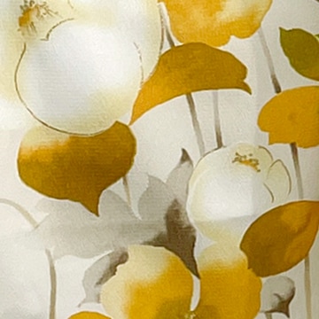 アネモネ カラシ