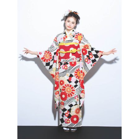 フラッグ菊 ・黒(1)