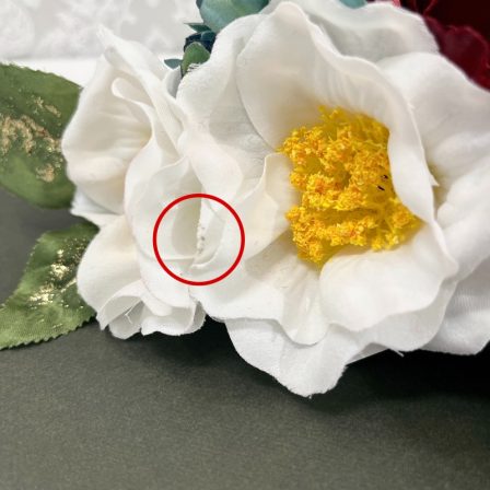 アネモネ 赤 ※白い花の一部分に難あり